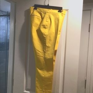 New without tags.  Talbots Chatham ankle pants. Size 10.